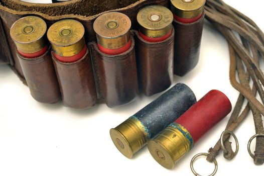 shotgun and its cartridges. Still life representing hunting.