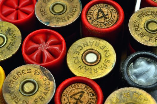 shotgun and its cartridges. Still life representing hunting.