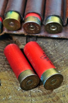 shotgun and its cartridges. Still life representing hunting.
