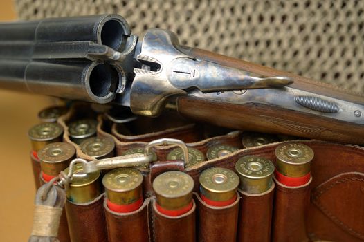 shotgun and its cartridges. Still life representing hunting.