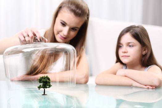 Young girl with glass shade protects the tree