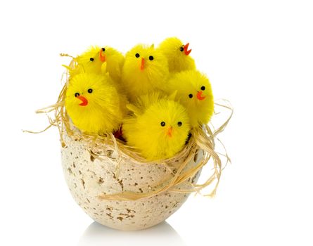 egg with yellow toy chicks
