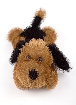 Children's soft toy in the form of a dog on a white background