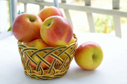Apples in basket