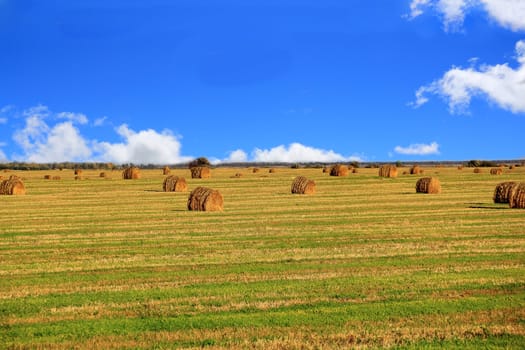 Image of landscape with hay, field and blue sky