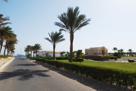 road to sea in beautiful egyptian hotel with landscape design