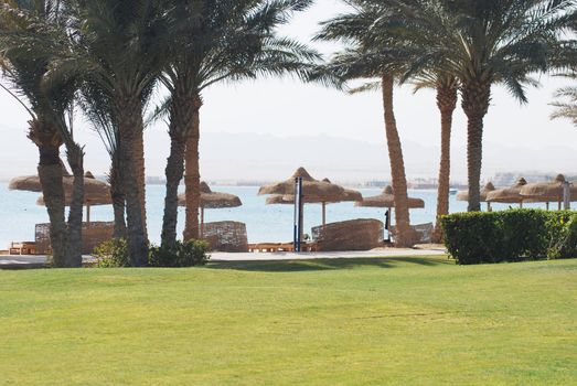 beach in egyptian hotel with umbrellas and palms 