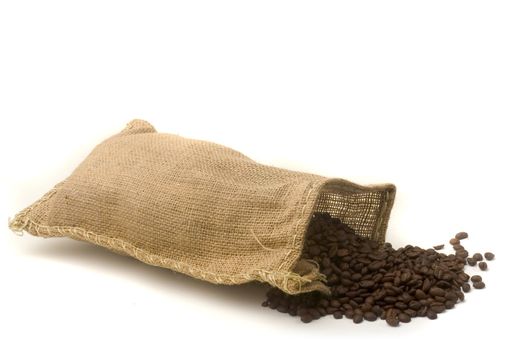 color coffee