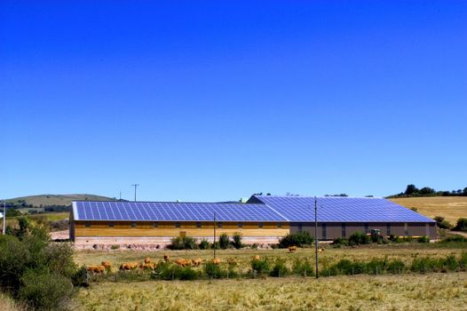 Cattle Sheds Solar Power Sation