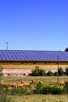 Cattle Sheds Solar Power Sation