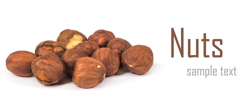 Hazel nut isolated on white background
