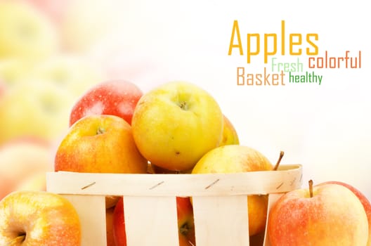 Fresh and colorful apples, selective focus