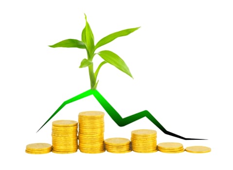 gold coins and plant isolated on white