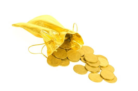 Money coins in golden bag isolated on white