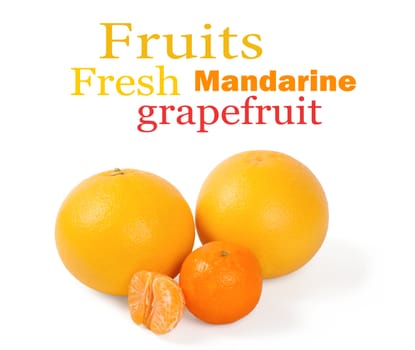 Fresh citrus fruit on a white background