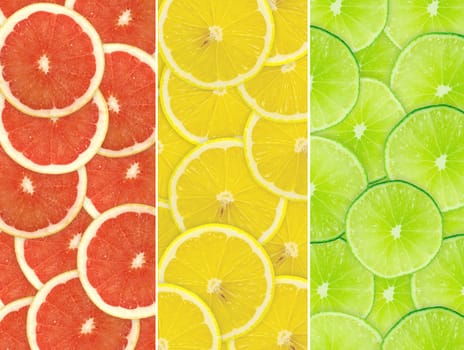 Abstract background of citrus slices. Closeup. Studio photography.