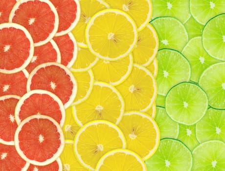 Abstract background of citrus slices. Closeup. Studio photography.
