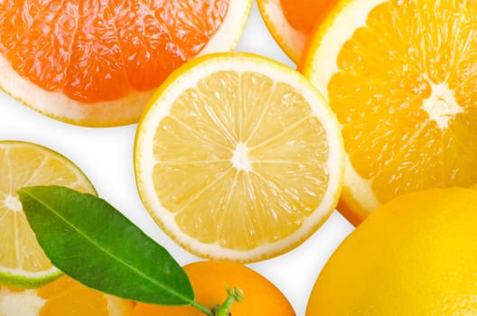 Mix of citrus slice isolated on white