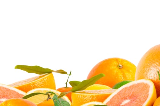 Fruits citrus on white