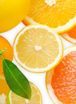 Mix of citrus slice isolated on white