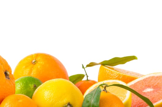 Fruits citrus on white
