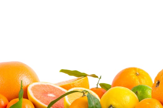 Fruits citrus on white