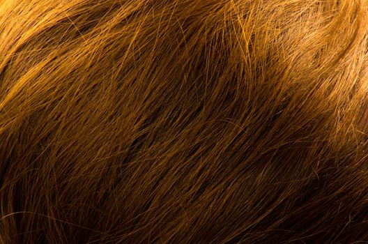 Hair