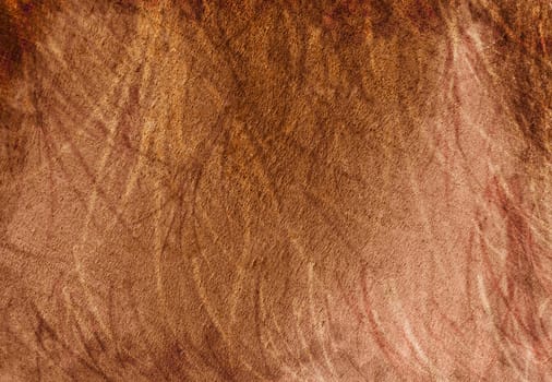 Texture