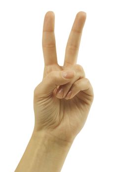 Hand with two fingers up in the peace or victory symbol. Also the sign for the letter V in sign language. Isolated on white.