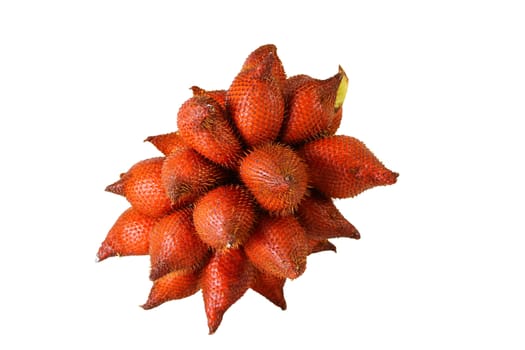 Sala or Zalacca, sweet and sour fruit from Thailand isolated on
