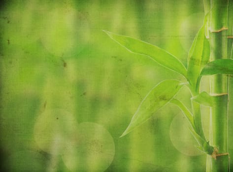 grunge bamboo background