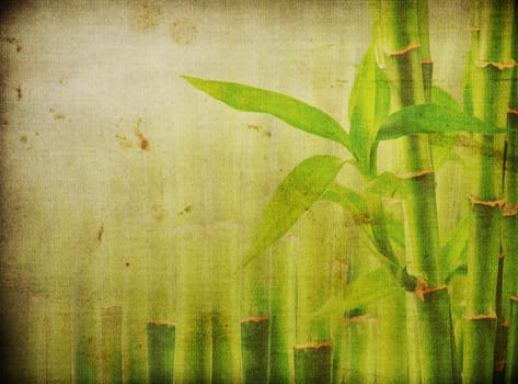 grunge bamboo background