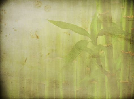 grunge bamboo background