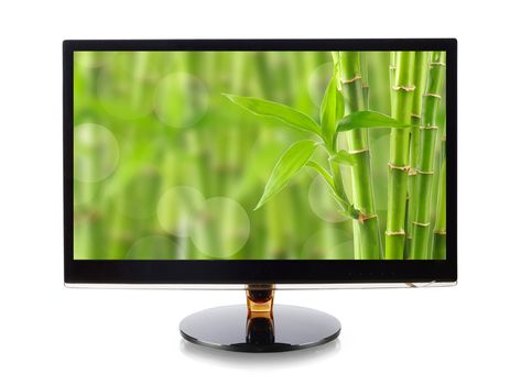 Bamboo in monitor isolated on white