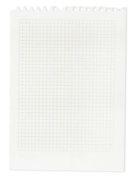 A page ripped off from the notebook isolated on white