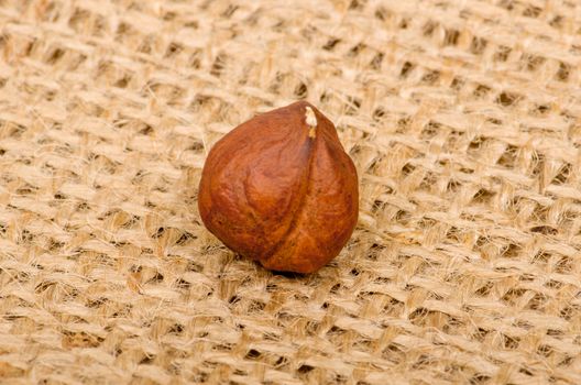 Hazelnuts on burlap background