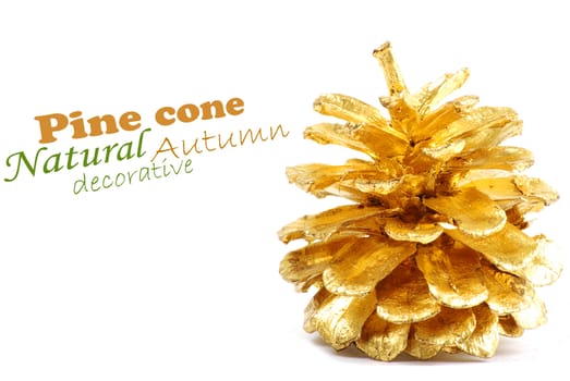 Golden pine cone isolated on white