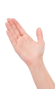 Empty open woman hand on white background