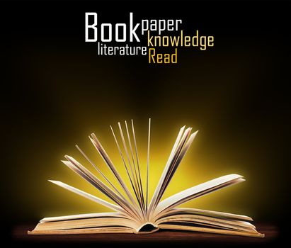 Book. Opened book with special light. Education