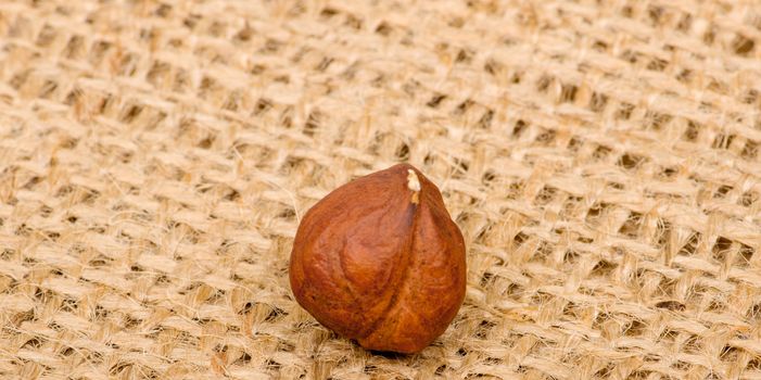 Hazelnuts on burlap background