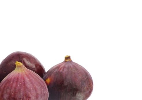 fig