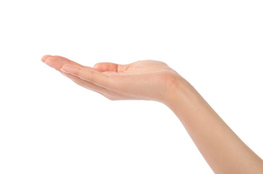 Close-up of beautiful woman's hand, palm up. Isolated on white background