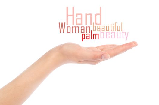 Close-up of beautiful woman's hand, palm up. Isolated on white background