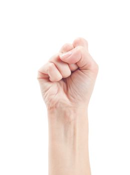 Fist. Gesture of the hand on white background.