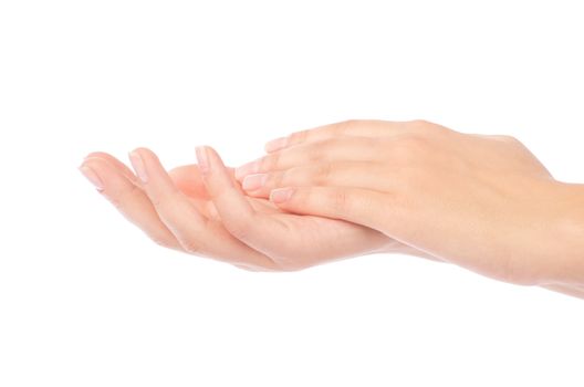 Beautiful female hands with french manicure