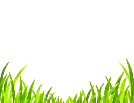 spring green grass on white background