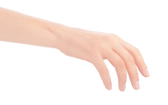 Empty open woman hand on white background