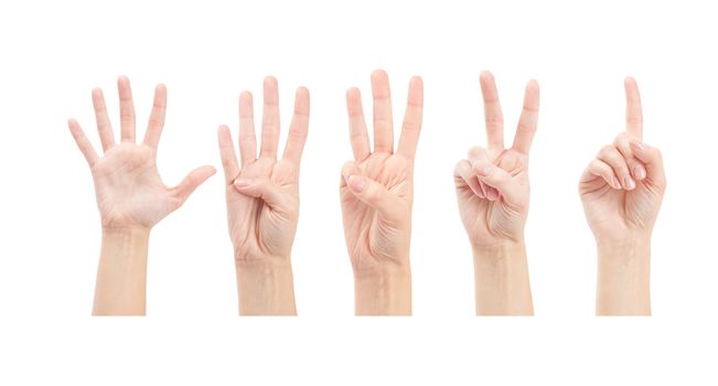Counting woman hands (1 to 5) isolated on white background