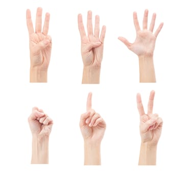 Counting woman hands (0 to 5) isolated on white background