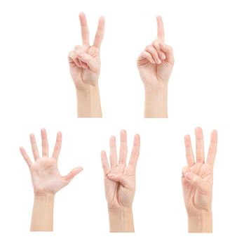 Counting woman hands (1 to 5) isolated on white background